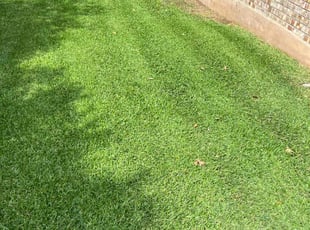 Cleanups by Joshua Benouis for Mark P. in Austin, TX