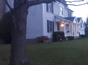 Leaf Removal by Ismael Gonzalez for Aaron F. in Rochester, NY