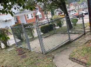 Bush Trimming by Jeremy Johnson for Naomi W. in McKees Rocks, PA