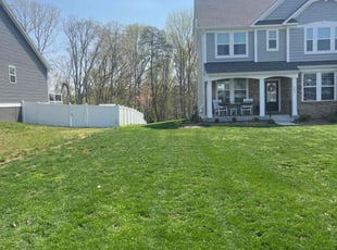 Tashunda B.'s Lawn Mowing service result