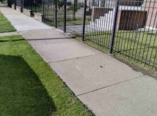 Susan N.'s Yard Cutting service result