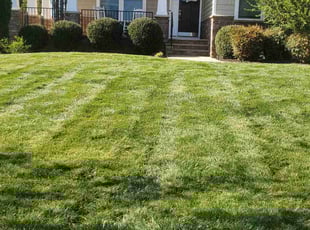 Millie C.'s Lawn Care service result