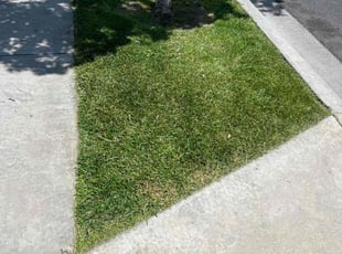 Mark H.'s Lawn Care service result