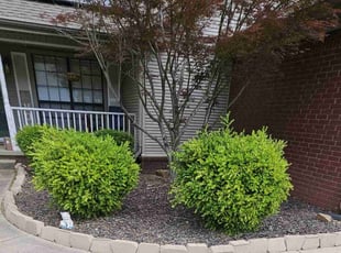 Weeding by Stephanie Baldwin for Leann B. in Cabot, AR