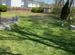 Matthew M.'s Lawn Mowing Service service result