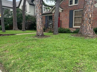 Andrew W.'s Lawn Mowing Service service result