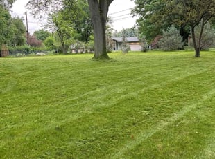 Fatemah Z.'s Grass Cutting service result