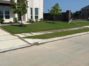 Olga S.'s Yard Cutting service result