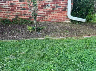 Bobbi L.'s Flower Bed Weeding service result