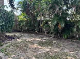 Leaf Removal by Keo Brown for Amy A. in Fort Lauderdale, FL