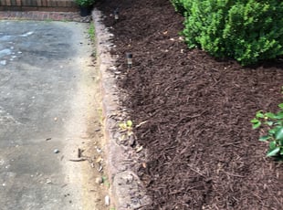 Mulching by Wayne Banton for Andrew T. in Concord, NC
