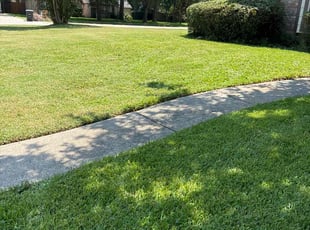 Susie P.'s Lawn Mowing service result