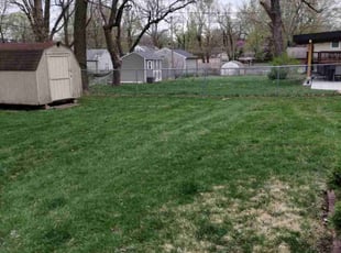 Cleanups by Andreas Margaris for Taryn R. in Mission, KS
