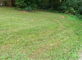 Cleanups by Javier Espino for Shelli C. in Stockbridge, GA