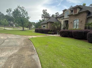 Teresa v.'s Lawn Service service result