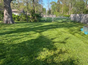 Marilyn N.'s Yard Cutting service result