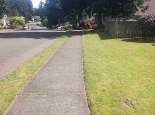 Darren H.'s Lawn Care service result