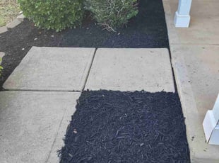 Mulching by Roberto Carrasco for Amr A. in Rock Hill, SC
