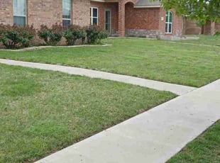 Rafael A.'s Grass Cutting service result