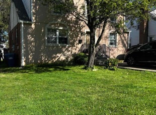Eveliina S.'s Lawn Mowing service result
