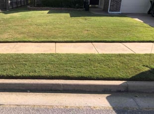 Nancy D.'s Lawn Care service result