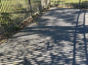 Leaf Removal by Michael Scime for Cathy F. in Drexel Hill, PA
