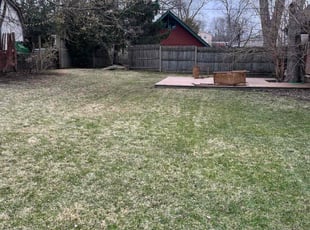 Yameka A.'s Lawn Care service result