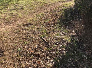 Cleanups by Paul Handley for Jo F. in Tulsa, OK