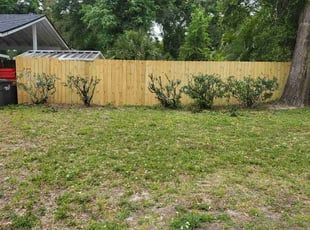 Bush Trimming by Dan Young & Renee Farmer Young's Lawn Care for Brittney B. in Altamonte Springs, FL