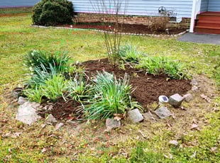 Cleanups by Chris Thomas for Mel M. in Chesterfield, VA