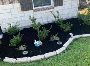 Mulching by Samuel Reyes for Steven B. in Missouri City, TX