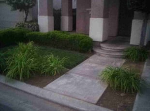 Bush Trimming by David Arteaga for Brandon E. in Clovis, CA