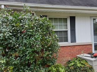 Cleanups by Robert Westwood for Jason H. in New Albany, IN