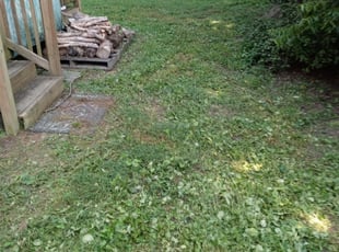 Cleanups by Terrill Williams for Theresa D. in Newport News, VA