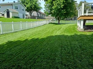 Mike M.'s Lawn Service service result