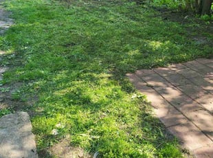 Cleanups by Albert Briscoe for Michael v. in Saint Paul, MN
