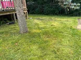 Cleanups by Phillip Kukla for Angel O. in Round Lake Beach, IL