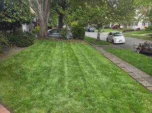 Deirdre M.'s Yard Cutting service result
