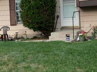Bush Trimming by John Hibbs for Jenna l. in Thornton, CO