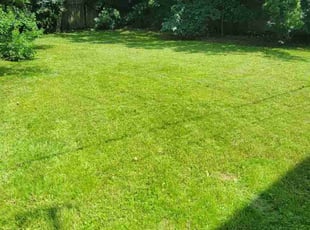 Douglas D.'s Lawn Mowing Service service result