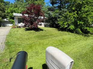 TANYA R.'s Lawn Maintenance service result