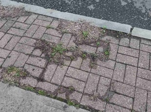 Cleanups by Matthew Spinelli for Mika M. in Bridgeport, CT