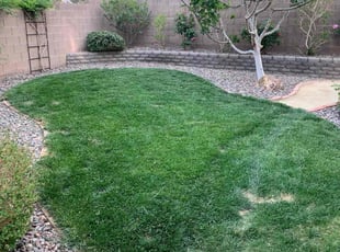Bush Trimming by Cameron Lymon for Beth S. in Las Vegas, NV