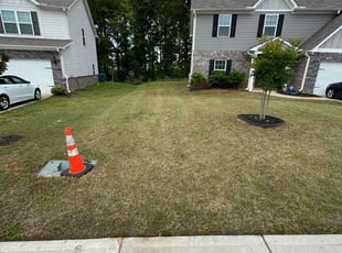 Christian B.'s Yard Cutting service result