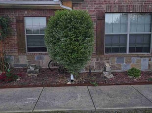 Bush Trimming by Patrick Flanagan for Tina A. in Farmersville, TX