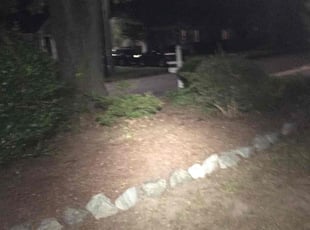 Cleanups by Tara Klenke for Sean B. in Durham, NC