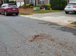 Leaf Removal by John Williams for Andrew L. in Charlotte, NC