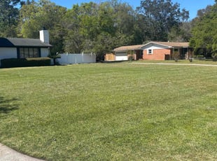 Melanie D.'s Lawn Mowing service result
