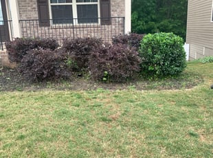Bush Trimming by Shaniqua Parker for Joseph E. in Atlanta, GA