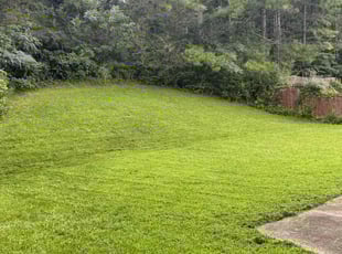 Jada M.'s Lawn Care service result